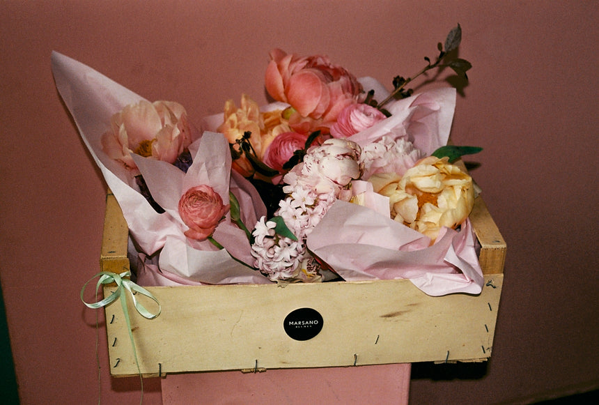 Pandoras Box