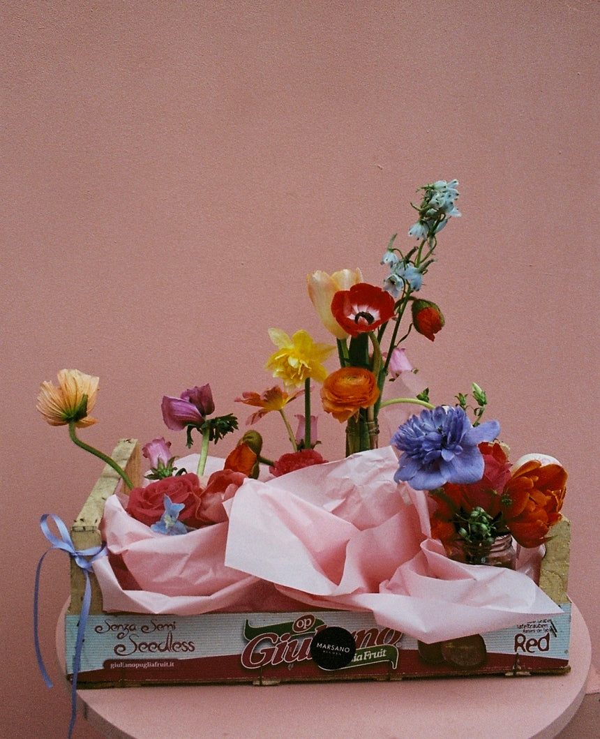 Pandoras Box