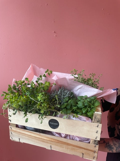 Kitchen Garden | Kräuterbox für Balkon & Terrasse