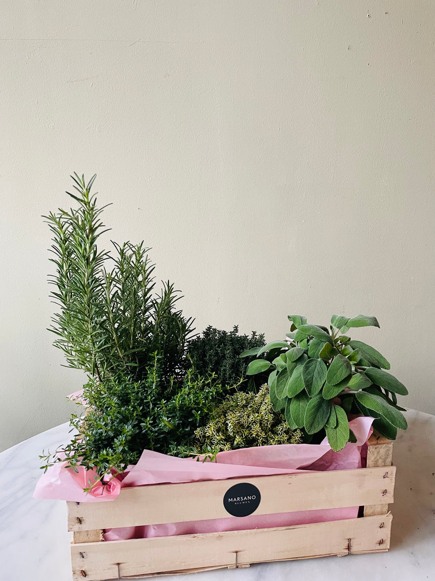 Herb box for the balcony