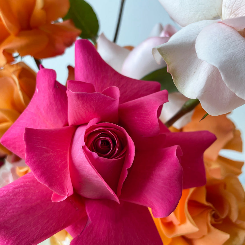 La Bomba Rosa