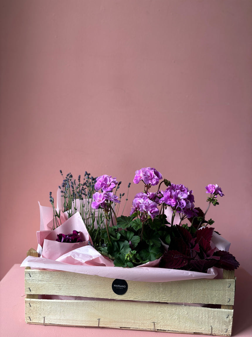 Flower box summer magic