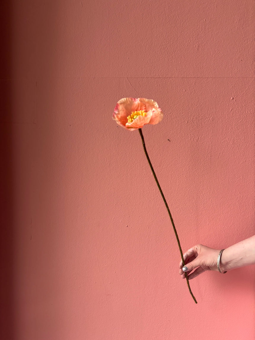 Poésie Poppy
