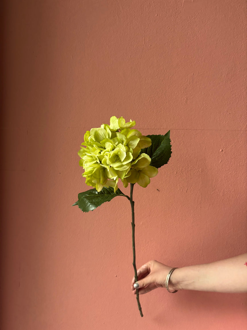 Lime Muse