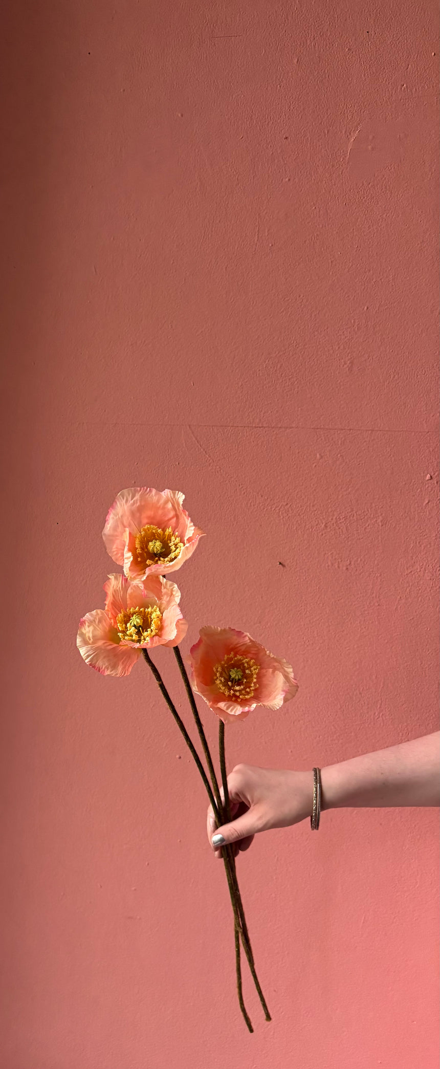 Poésie Poppy