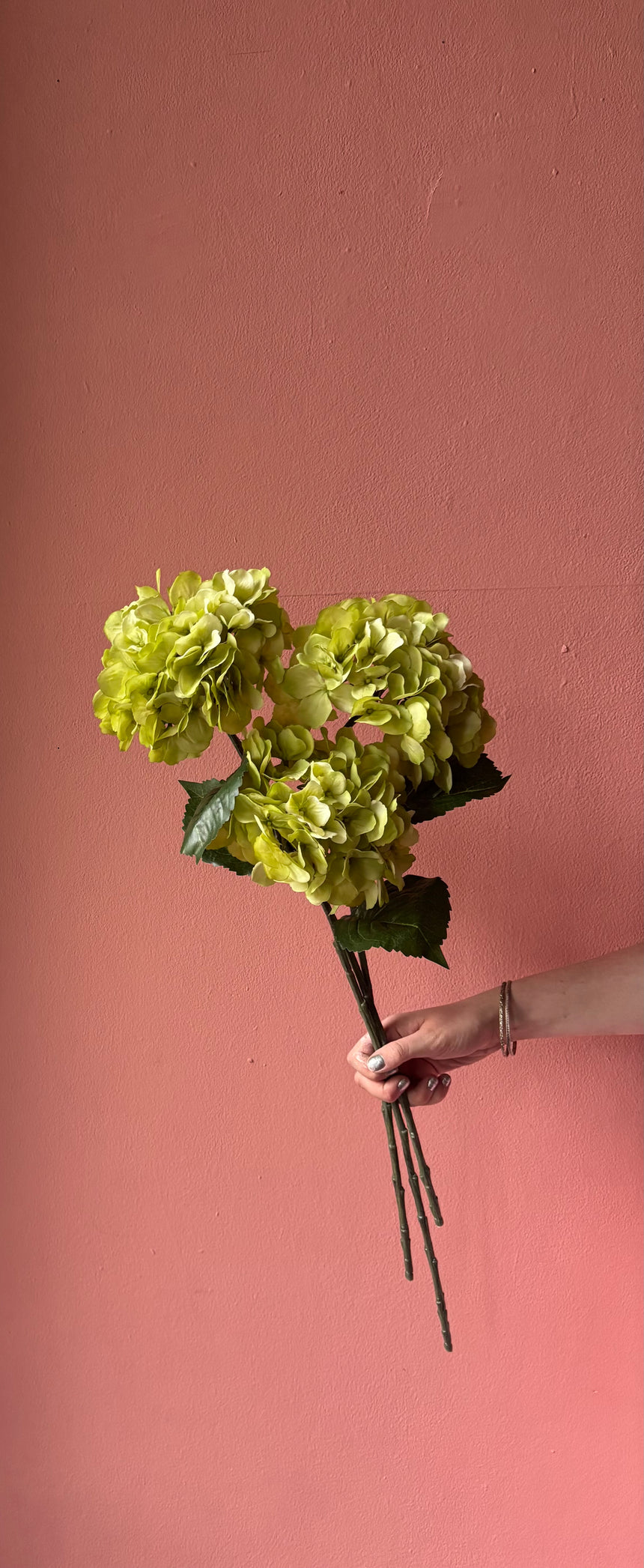 Lime Muse