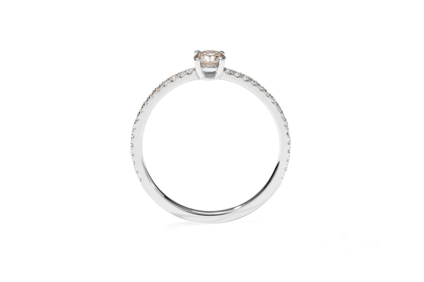 Vieri x Marsano - Braun Dia Pavé Weißgold Ring