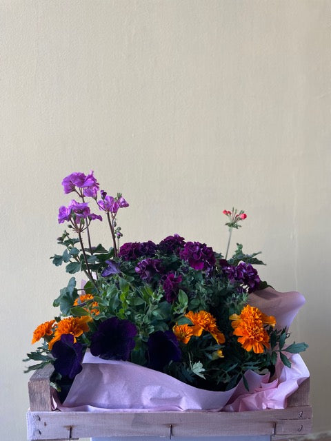 Blumenbox Sommerzauber