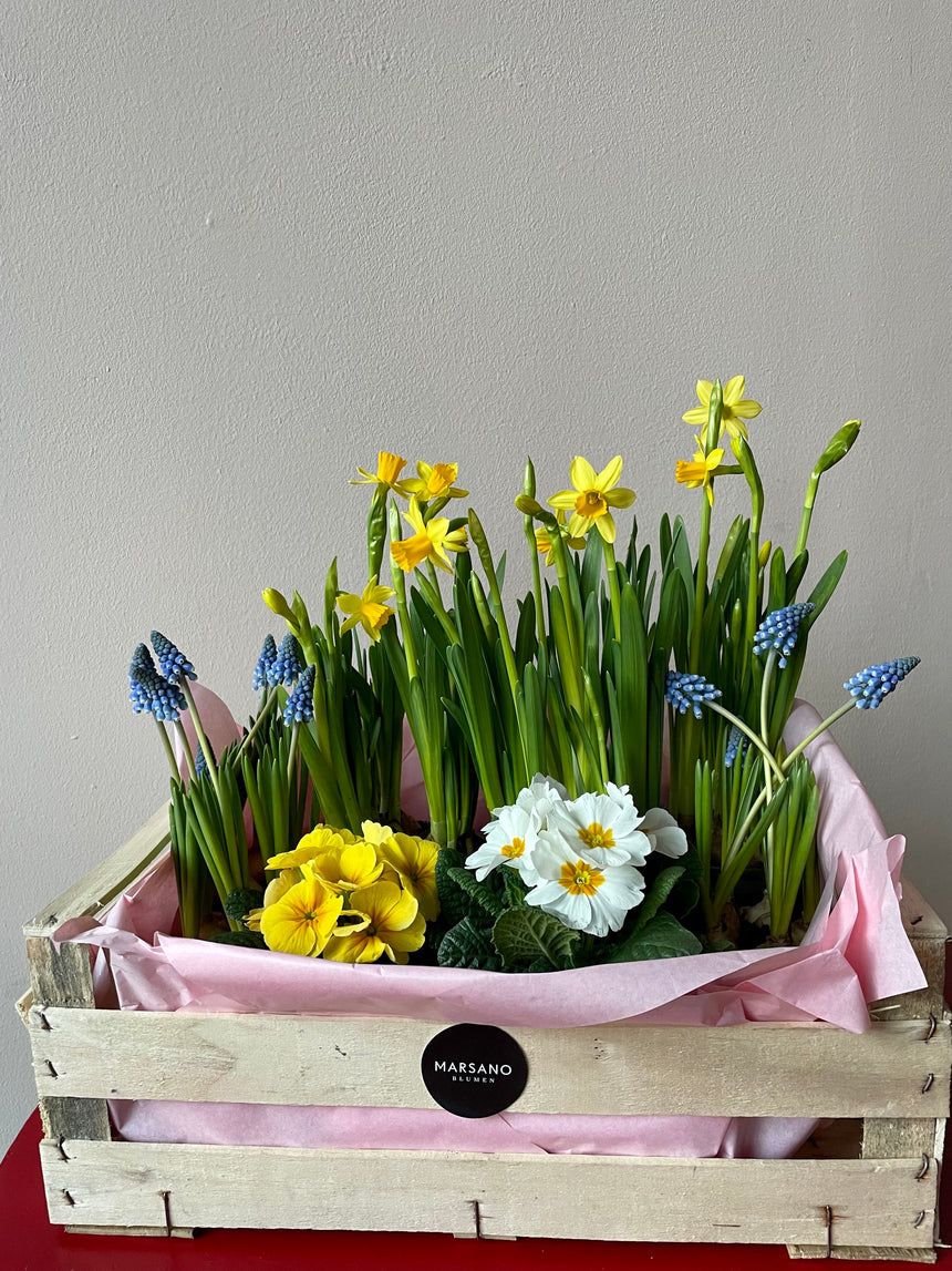 Flower box spring magic